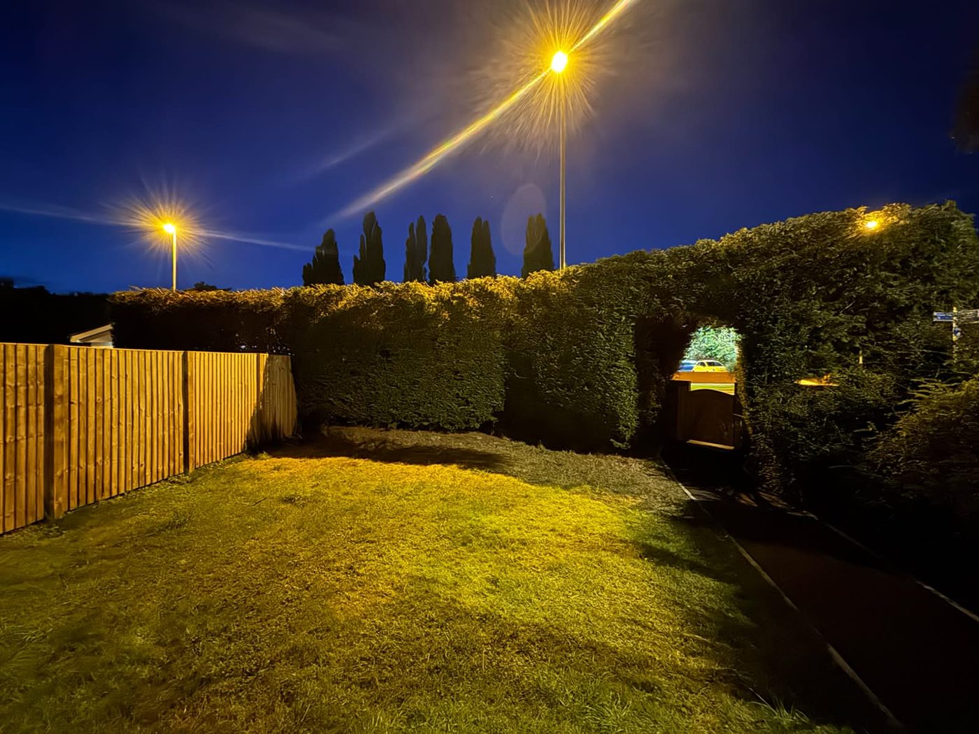 The finished conifer hedge and raked lawn lit by street lamps after dark, with a gated archway cut through it